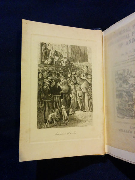 Criminal Prosecution and Capital Punishment of Animals by E.P.Evans 19 ...